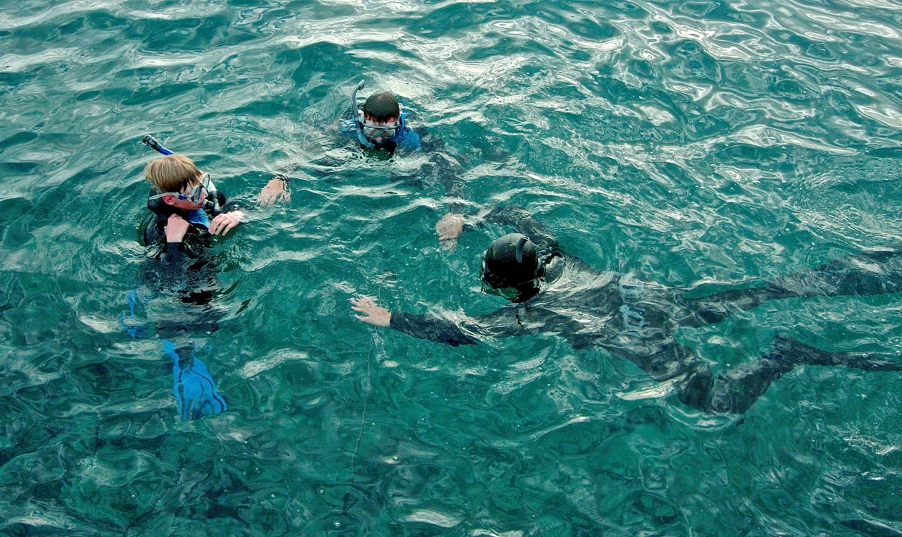 obóz sportów wodnych grupa wodna teneryfa nurkowanie open water